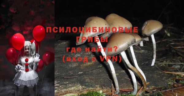 прущие крисы Протвино
