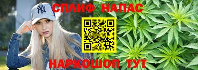 mdpv Малоярославец