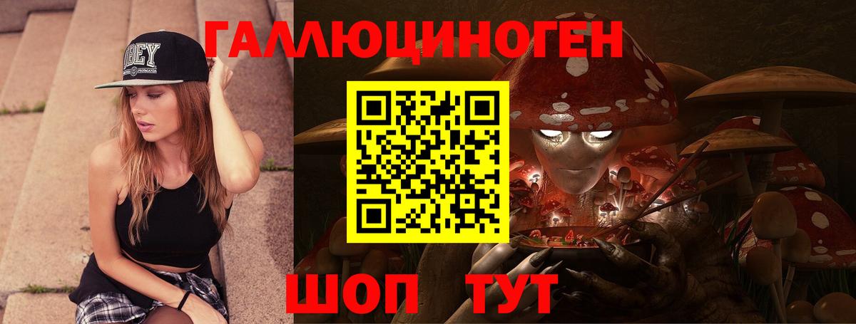 Галлюциногенные грибы Psilocybe Слободской